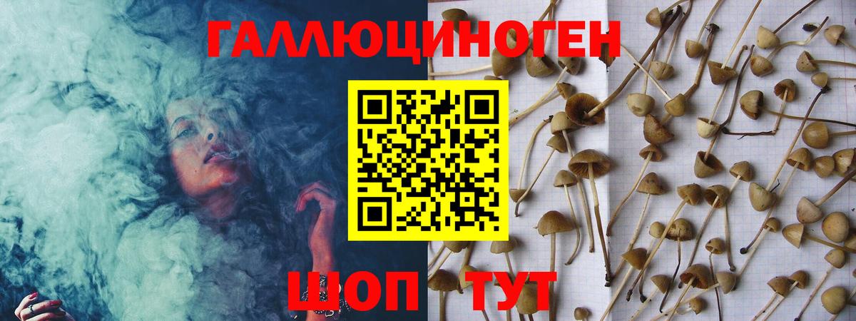 Озёры  где продают наркотики  Вход с VPN  Псилоцибиновые грибы Magic Shrooms 